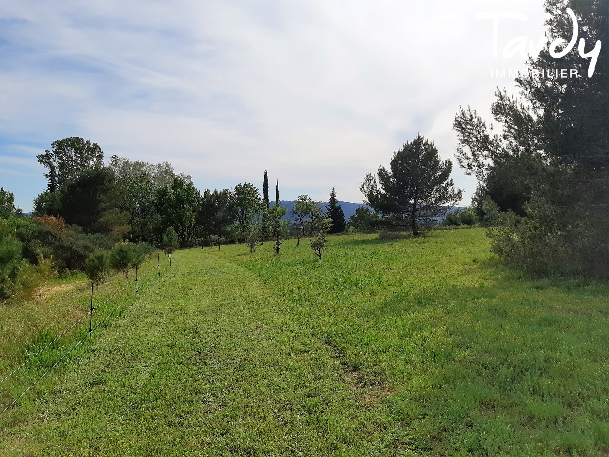 Mas en pierre - Aux portes de Lourmarin - 84160 CADENET - Cadenet