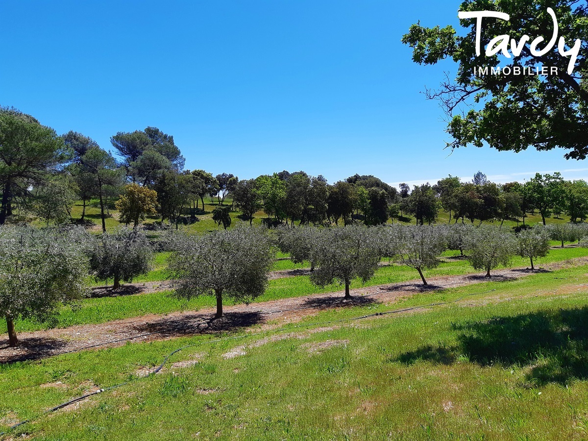 Proprit du 17me de caractre - 520 hectares en Provence Verte - 45 min AIX EN PROVENCE - Aix-en-Provence