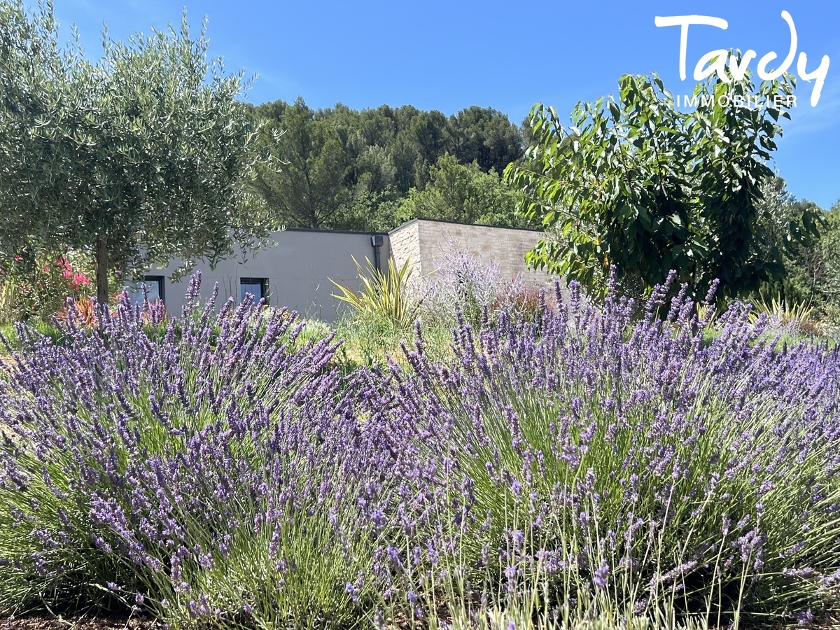 Contemporaine - Jardin paysager avec piscine - 13100 AIX EN PROVENCE - Aix-en-Provence - Maison contemporaine Aix-en-Provence