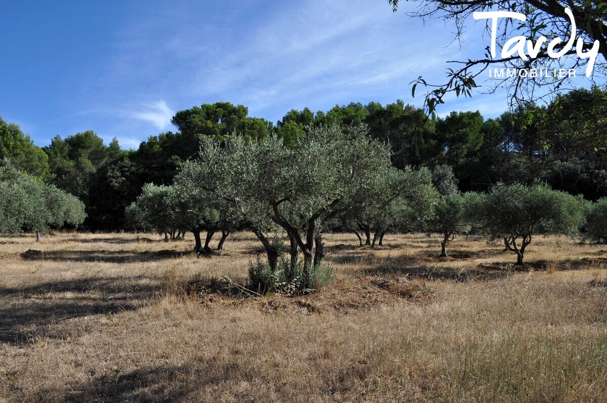 Ferme en pierre  rnover proche Lourmarin - 84360 LAURIS - Lauris