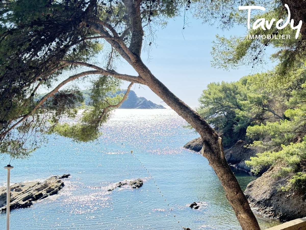 Pieds dans l'eau sur 2 hectares - 13600 LA CIOTAT - La Ciotat - Pieds dans l'eau La Ciotat Tardy Immobilier