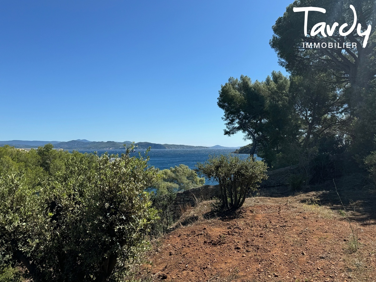 Pieds dans l'eau sur 2 hectares - 13600 LA CIOTAT - La Ciotat - Proprit avec parc vue mer la ciotat Tardy Immobilier