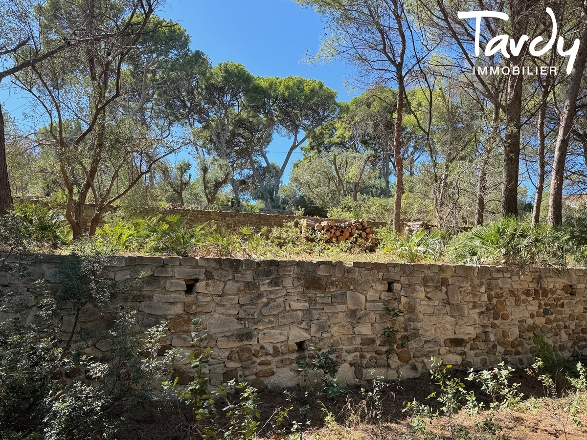 Pieds dans l'eau sur 2 hectares - 13600 LA CIOTAT - La Ciotat - Pieds dans l'eau La ciotat Grand terrain tardy Immobilier