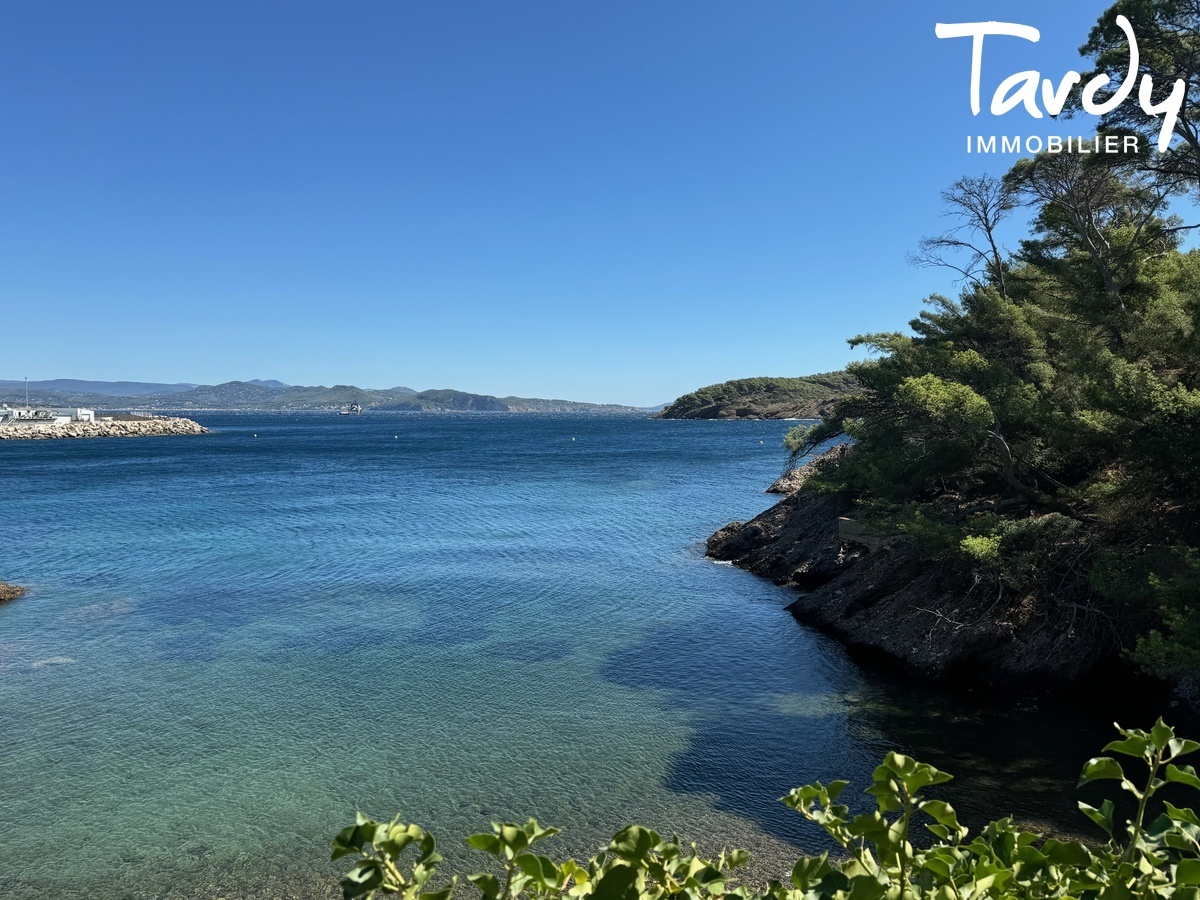 Pieds dans l'eau sur 2 hectares - 13600 LA CIOTAT - La Ciotat - Le Mugel Pieds dans l'eau La Ciotat Tardy Immobilier