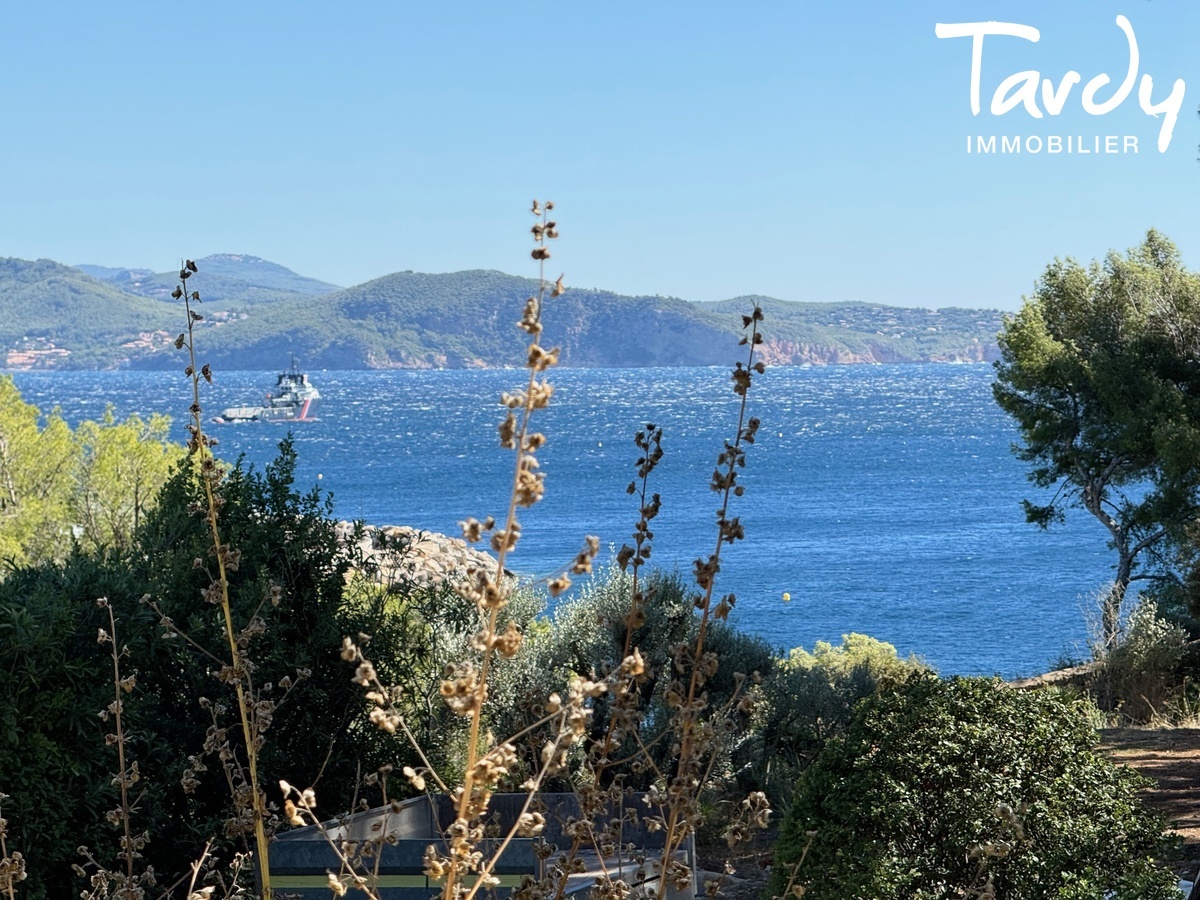 Pieds dans l'eau sur 2 hectares - 13600 LA CIOTAT - La Ciotat - Grand terrain acces mer proche centre La Ciotat Tardy Immobilier